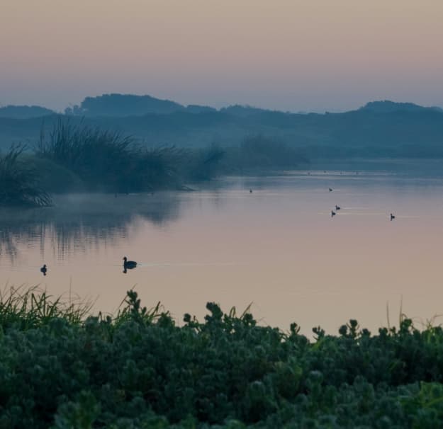 Proposed interventions