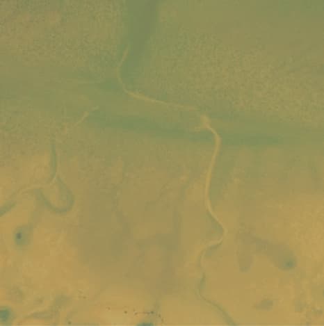 Collaboration & Commitment